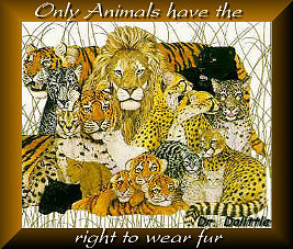 Only Animals Have the Right to Wear Fur