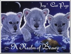 'A Realm of Beauty' - Thank you Felines of the Night!