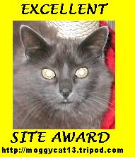 The Excellent Site Award