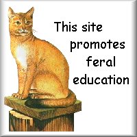 This Site Promotes Feral Education