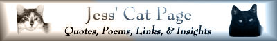 Jess' Cat Page Banner