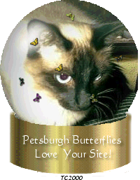Petsburgh Butterflies Love Your Site!