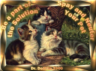 Be a part of the Solution, Spay and Neuter Your Pet