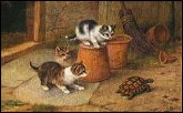 Kittens & Turtles Painting